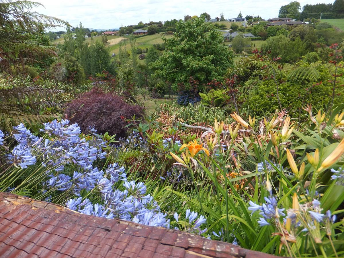 Waitomo Golfstays B&B Otorohanga Exterior foto